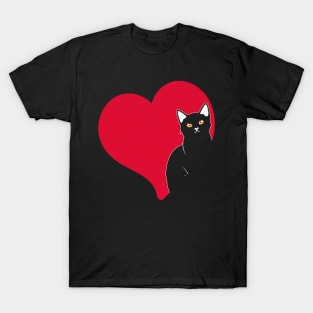 Cat Valentines Day Boys Girls Valentine T-Shirt